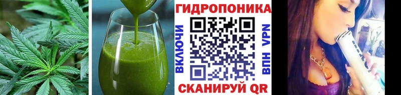 Cannafood конопля  как найти наркотики  Родники 