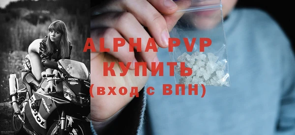 прущие грибы Новокубанск