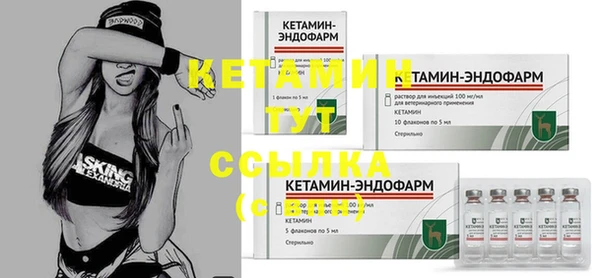 скорость Новозыбков