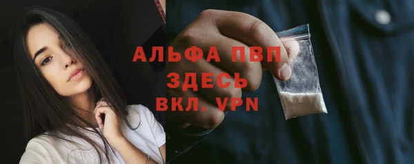 прущие грибы Новокубанск