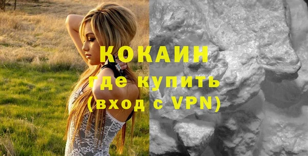 скорость Новозыбков