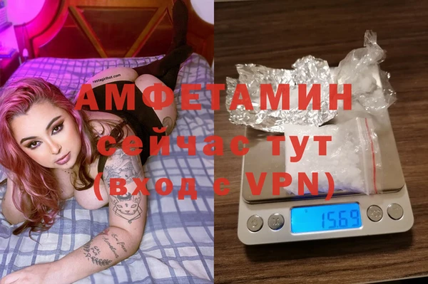 скорость Новозыбков
