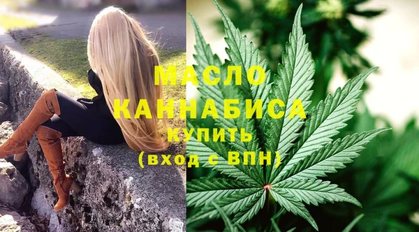 скорость Новозыбков