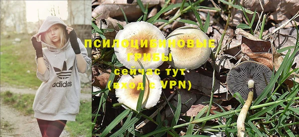 бутират Новодвинск