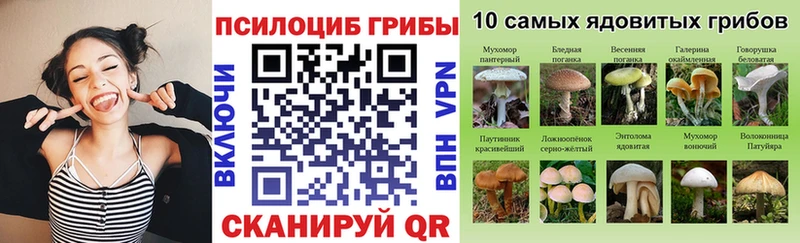 Галлюциногенные грибы Psilocybine cubensis где купить наркоту Родники