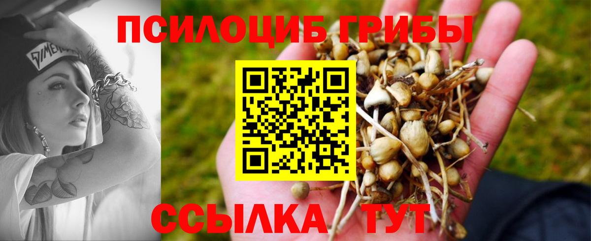 Псилоцибиновые грибы GOLDEN TEACHER Родники