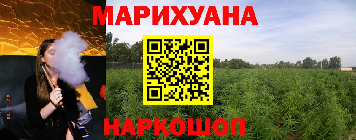 Шишки марихуана сатива Родники