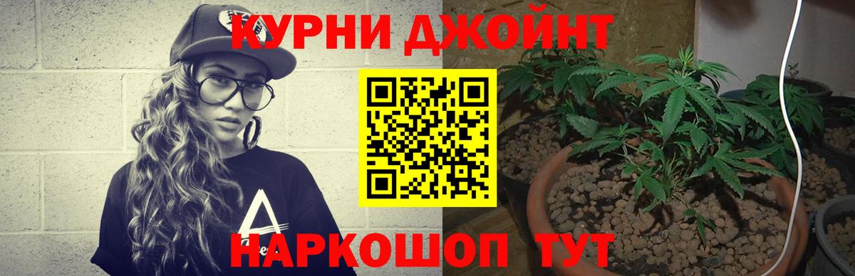 Каннабис Ganja  Родники  Бошки марихуана индика  Марихуана AK-47 